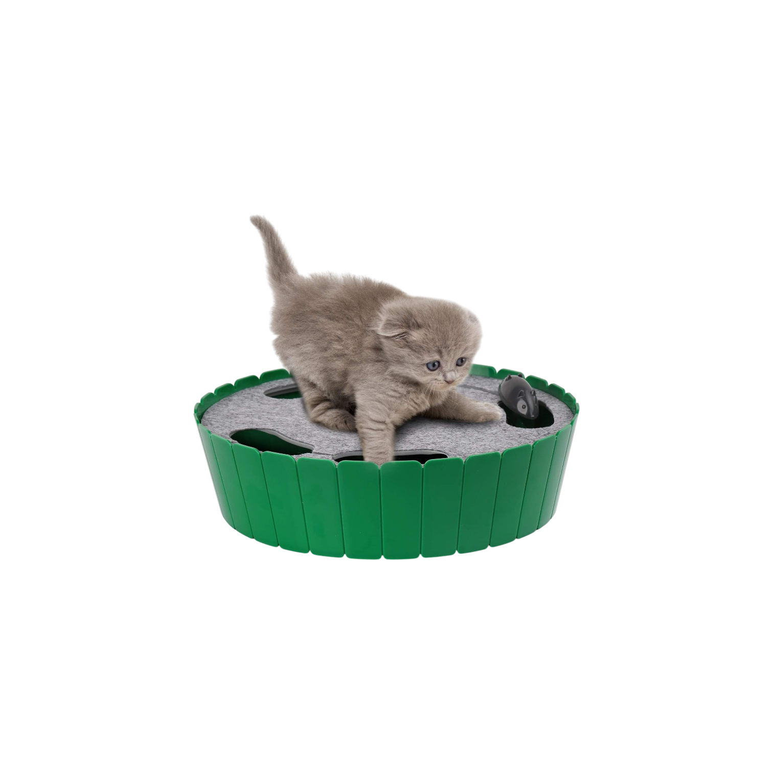 Pawaboo Interactive Cat Toy with Running Mouse